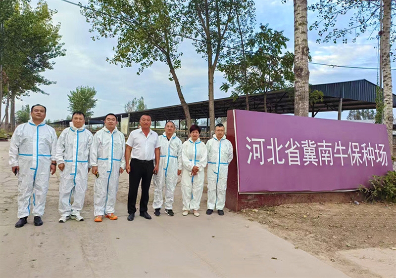 企业风采